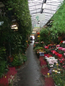 marchÃ© aux fleurs